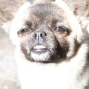 CrossFit Movement 이미지