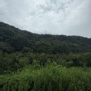 노령산장 이미지