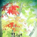 그대다방 Daum카페