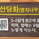 논현중앙근린공원 이미지