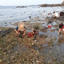 바다로가는길목 펜션 이미지