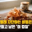 흙대파와 소분 대파 매번 고민된다면…마트에서 이렇게 고르면 됩니다 이미지