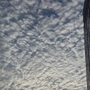 서초대로48길 33 이미지