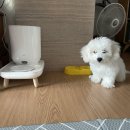 아모르켄넬 | 여름방학..