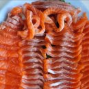 마달피가든 이미지