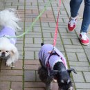 동인동물병원 이미지