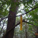 암소고개로 이미지