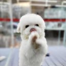 플레이독 파주본점 이미지