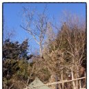 예원캠핑장 이미지