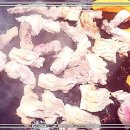 돼지 삼촌 이미지