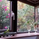 소더스111 이미지