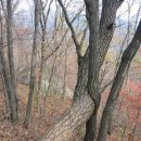 광덕1로10 이미지