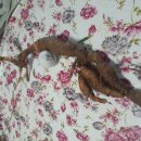 검성로1-6 이미지