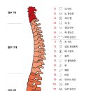 다온스킨케어 - 제주시 고마로 52 | 다온스킨케어