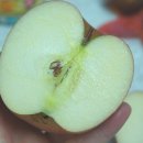 성준농장 이미지