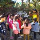 본아미강남어린이집 이미지