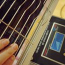 레이탐베이 이미지