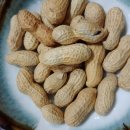 일용횟집 이미지