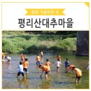 평리농촌체험휴양마을 | 여름이 즐거운 농촌체험여행 녹색농촌체험마을, 팜스테이마을 밀양 "평리 산대추마을"