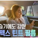 에이펙스라인 이미지