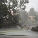 허리케인 이미지