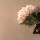 가족사랑 장례토탈서비스 이미지