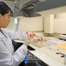 순천향대학교 이미지