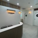 캐스룸 | [대전] 고양이 호텔 찐찐찐찐 추천 / 솔직후기 / 내돈내산 [캐스룸]