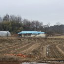 서산시 인지면 산밑에 농가주택과 텃밭(900평) 이미지