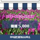 우석부동산공인중개사사무소 이미지