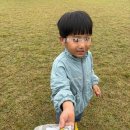 들녘식당 | 대구근교 아이랑 가볼만한곳 성주가야산 황금들녘 메뚜기축제 체험활동 주차 방문후기