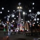 별빛광장 이미지