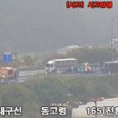 돼지인력 이미지