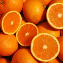 주화농장 이미지