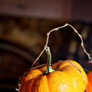 [백석]연필드로잉 이미지