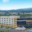 튼튼제일의원 이미지