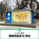 별밤미술관 in 운남 | 별밤미술관 in 운남
