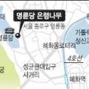 은행나무사거리3 이미지