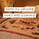 스테이인호텔 이미지