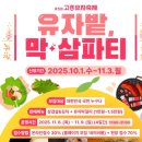 고흥도화힐링하우스 | 2025 고흥 유자축제 일정 가수 라인업 여행팁