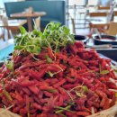 인천타워대로251번길 | 홀리데이 인 인천 송도 가성비 맛집 수라채 다이닝 주말 런치 후기