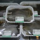 삼백찬가 | [4기 경산 러닝 콘서트] 협동조합 실전 편 _ 6회차