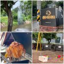 서울 근교 파주 캠핑장 캠프 예그리나 솔직후기 아이와 함께 가족단위 추천