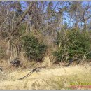 백동무궁화동산 이미지