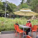 북한산 불광사 아래 정원 커피카페 이미지