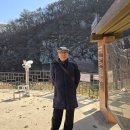 조동일 [한일관계의 대등생극] 19) 한중일 : 화투는 더불어 신명놀이, 파칭코는 기계랑 혼자서, 마작은 예지를 키워 처세로. 이미지