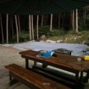 숲속통나무펜션 이미지