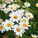 봉양농장 이미지