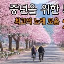 쿨 베스트 노래모음 이미지