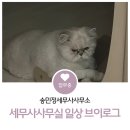 송민정세무사사무소